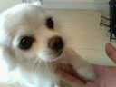 a0090729_23638.jpg