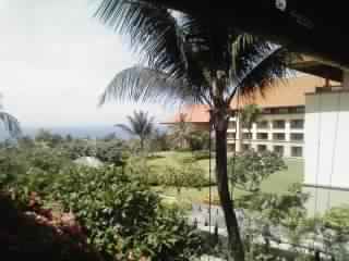c0099229_14441965.jpg