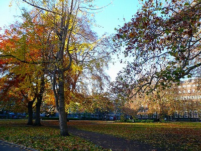 c0153330_659875.jpg