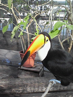 b0066331_9211047.jpg