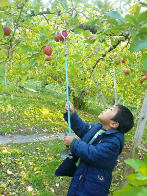 e0065031_68417.jpg