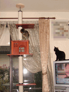 c0136736_19271455.gif