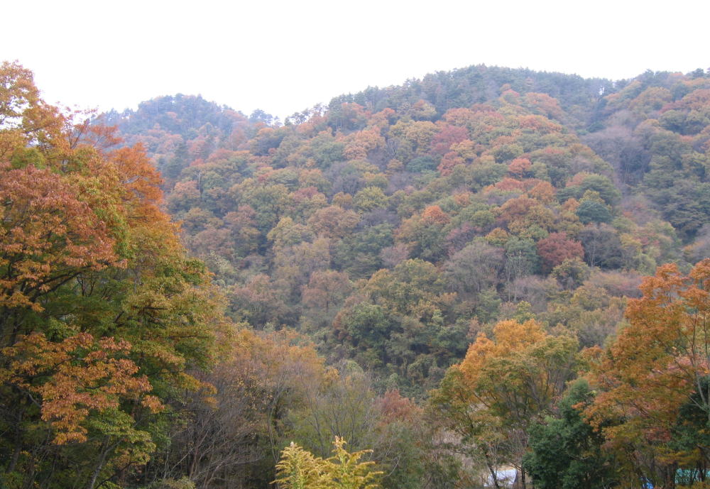 e0049740_17584496.jpg