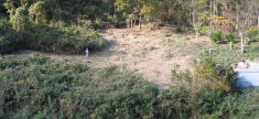e0049740_1831972.jpg