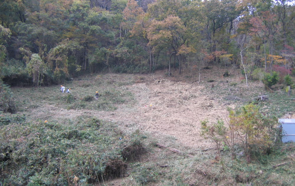 e0049740_18333784.jpg