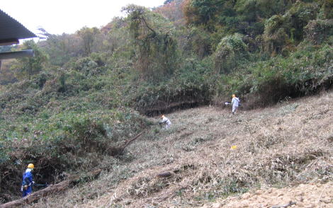 e0049740_1874637.jpg