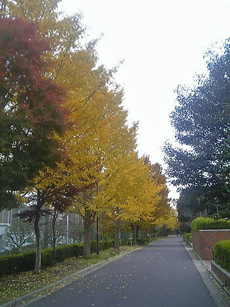 f0032340_233373.jpg