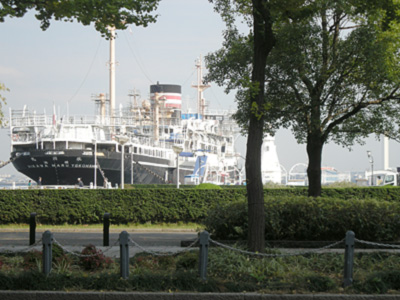 f0001841_17534038.jpg