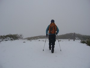f0065941_22131219.jpg