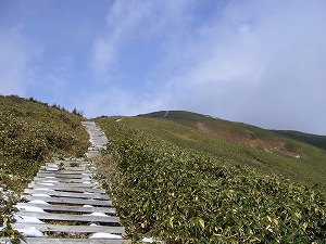 f0065941_22145414.jpg