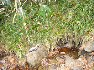 f0065941_222487.jpg