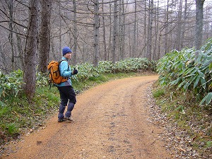 f0065941_2225501.jpg