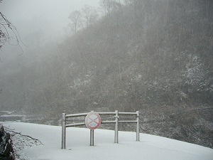 f0065941_22273298.jpg