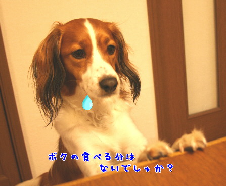 d0013149_051179.jpg