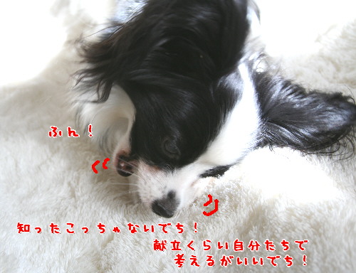 d0013149_2326452.jpg