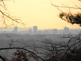 c0145250_12384128.jpg
