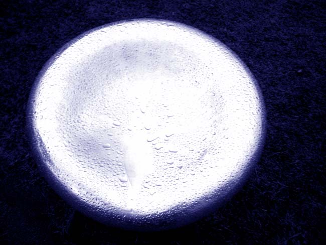 e0002850_23442784.jpg