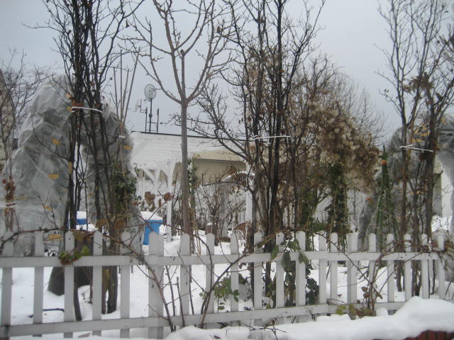 a0075455_8105440.jpg