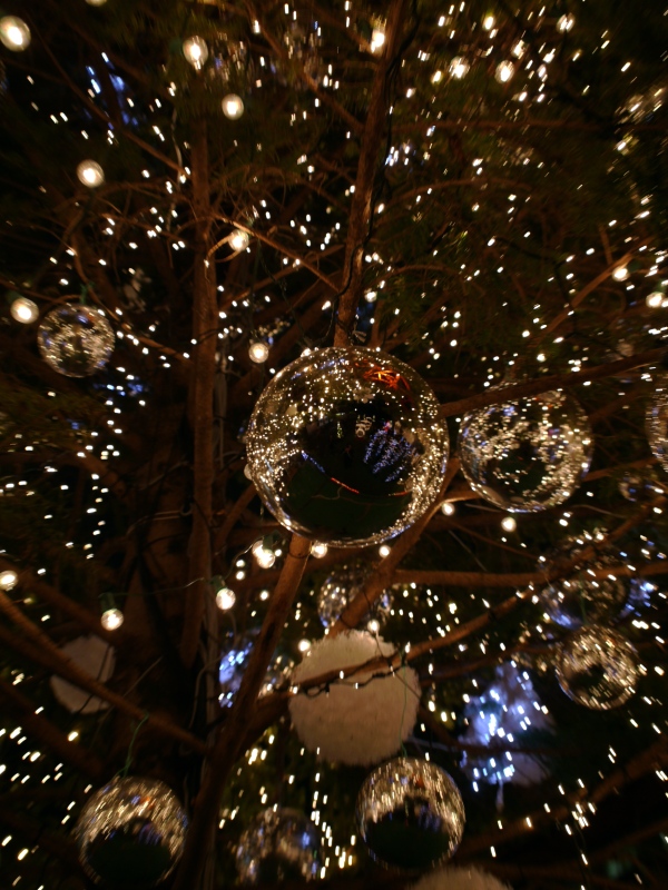 f0070556_2285790.jpg