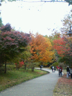 f0156758_22192025.jpg