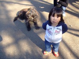 c0141860_2343465.jpg