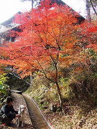 a0104162_1019569.jpg