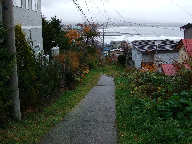 f0129864_214034.jpg