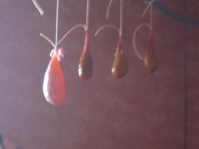d0094868_22176100.jpg