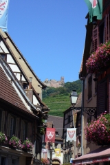 f0059671_23431134.jpg