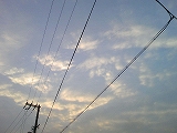 e0081772_9131229.jpg