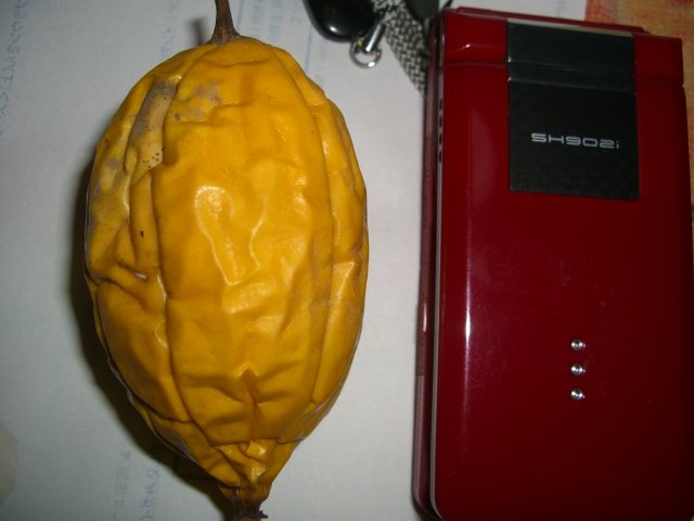 f0137275_626161.jpg