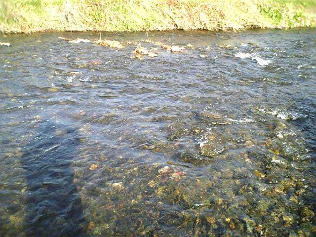 d0132880_0172510.jpg