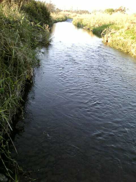 d0132880_0183356.jpg