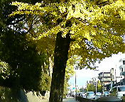 f0016981_1491418.jpg
