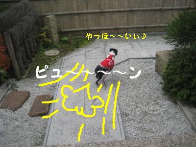 c0092787_1145752.jpg
