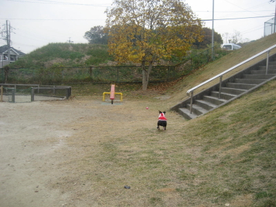 c0092787_11571246.jpg