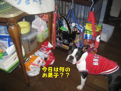 c0092787_126149.jpg
