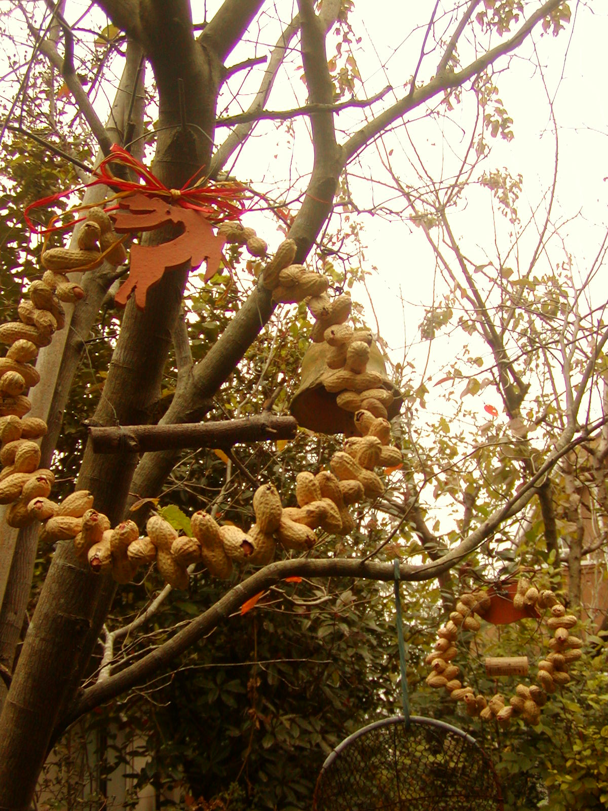 c0129702_20363562.jpg