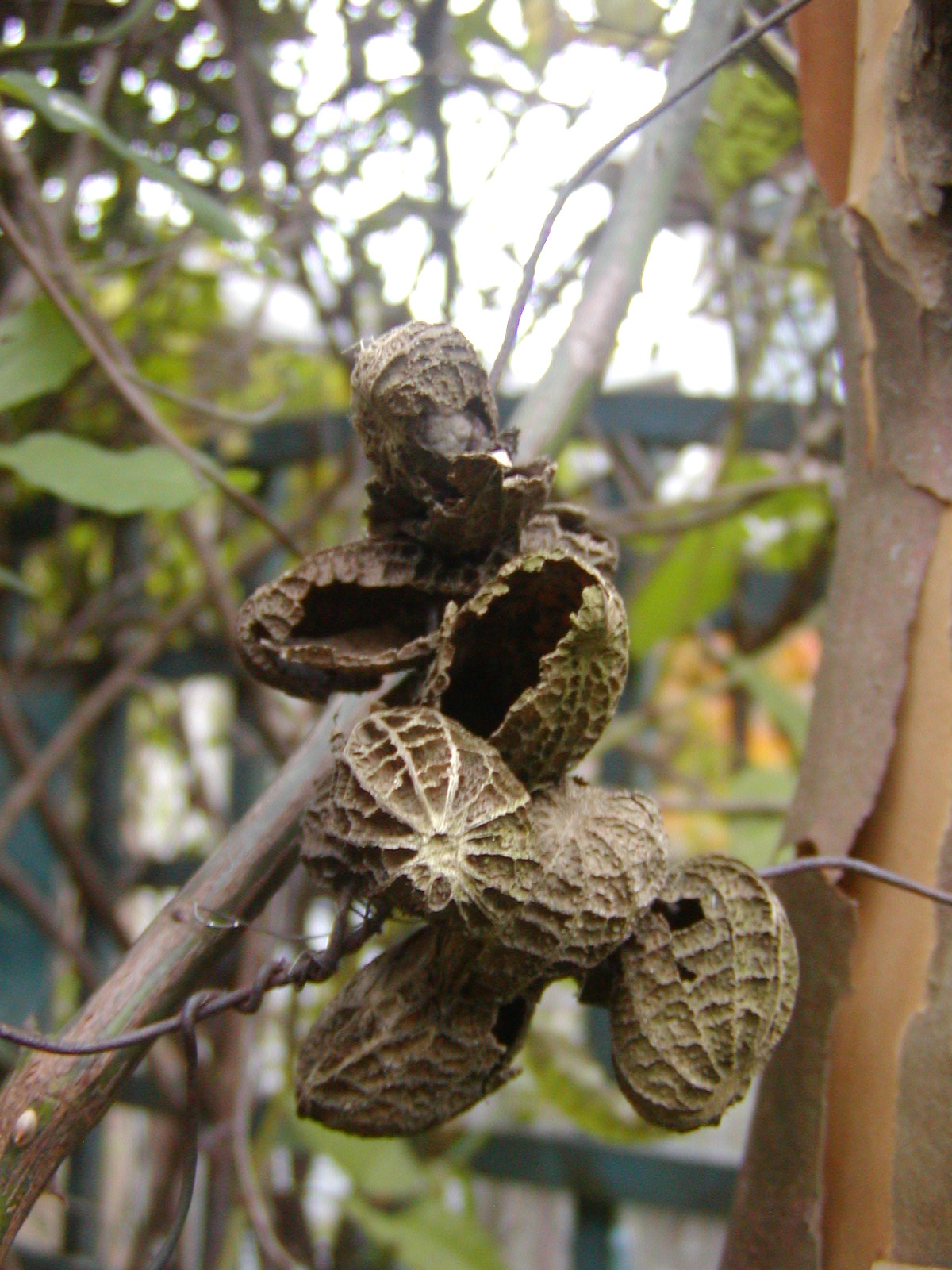 c0129702_20371644.jpg