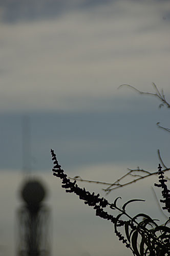 c0061503_22514558.jpg