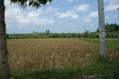 b0117406_1463418.jpg