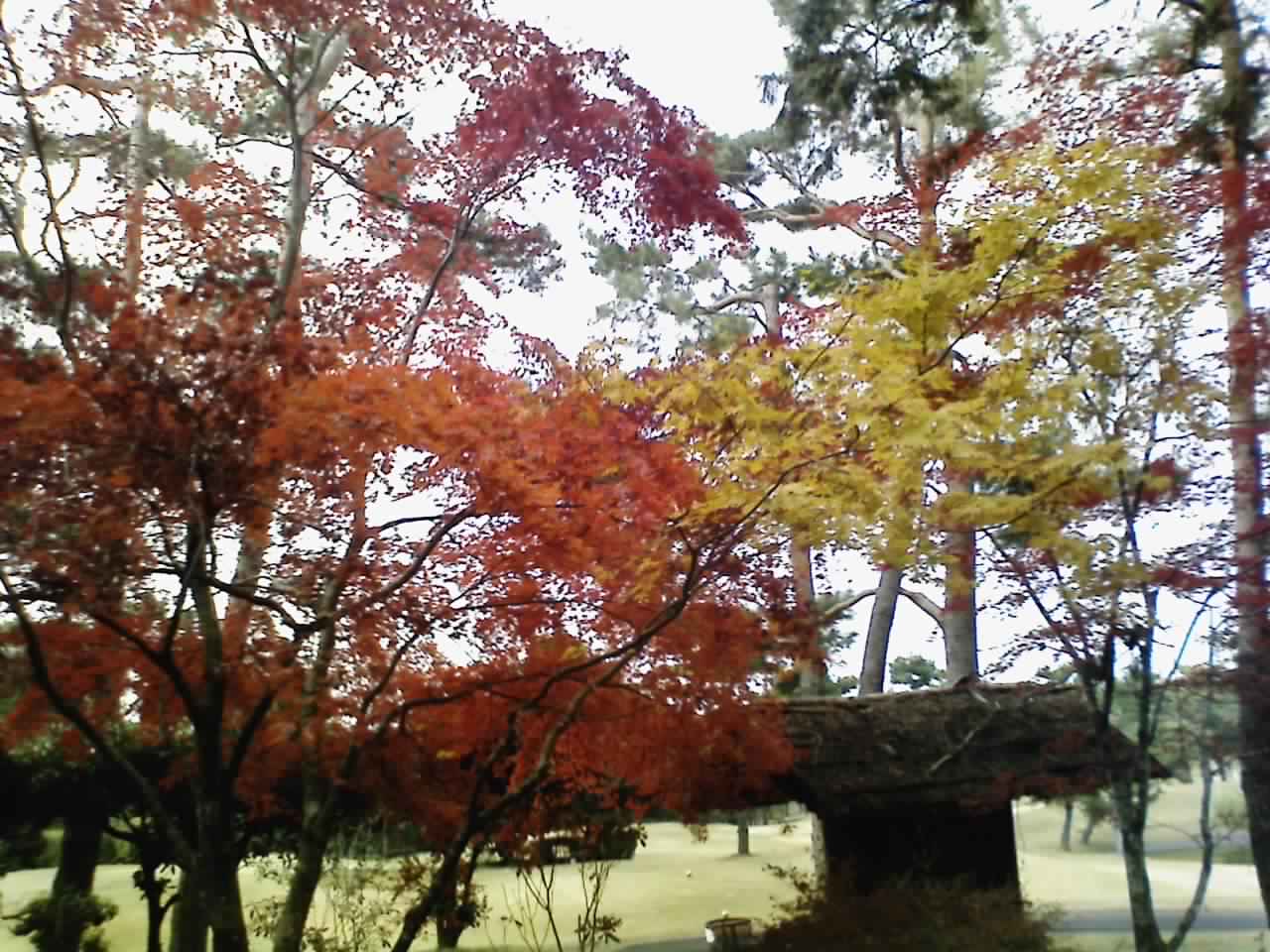 f0158306_1931396.jpg