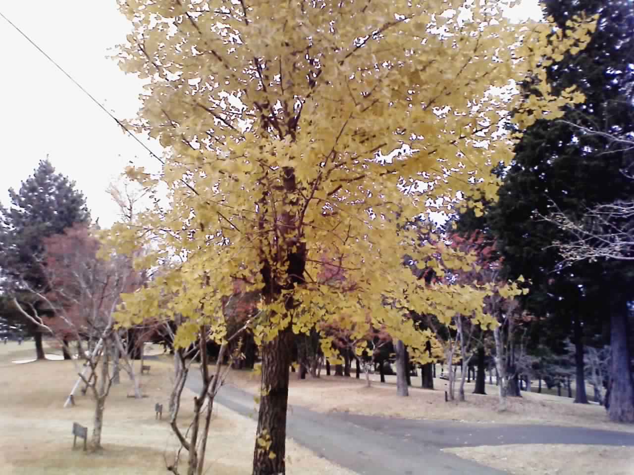 f0158306_19313998.jpg