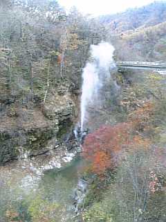 f0006510_08666.jpg