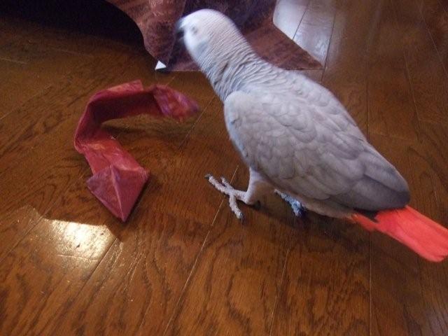 c0133013_23542048.jpg