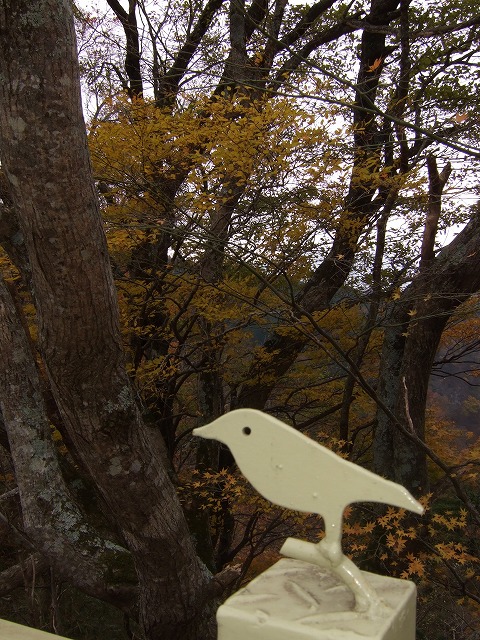 c0127617_2332241.jpg