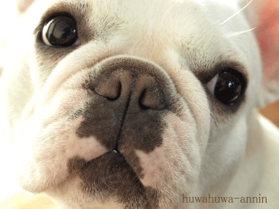 f0155120_2127230.gif