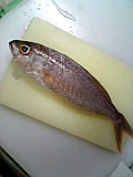 f0106823_032207.jpg