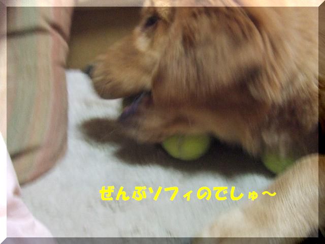 a0105425_0472850.jpg
