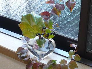 c0139527_19271417.jpg